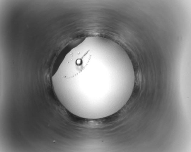 X0000088730522200706212041