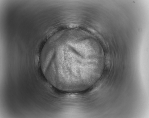 X0000088730523200706212041