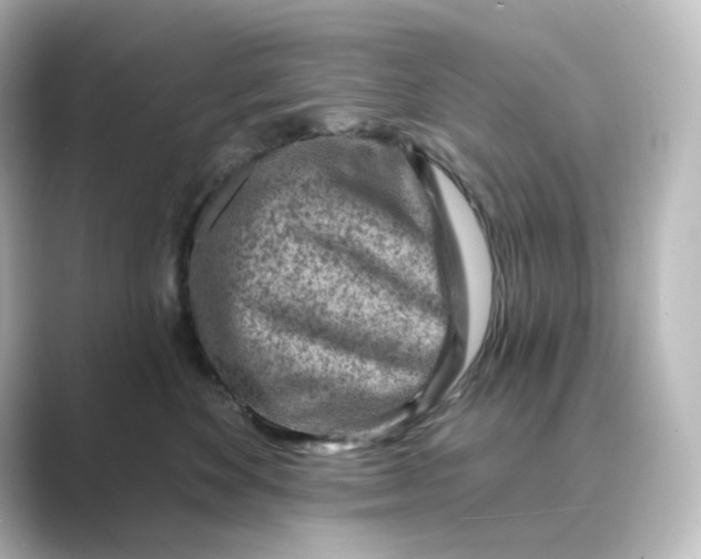 X0000088730524200706212041