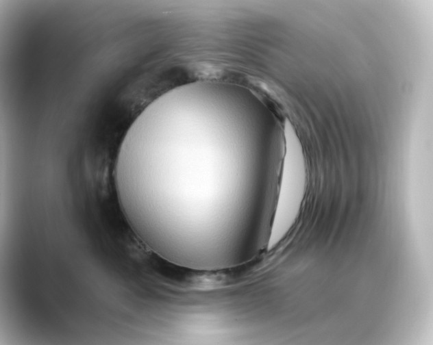 X0000088730525200706212041