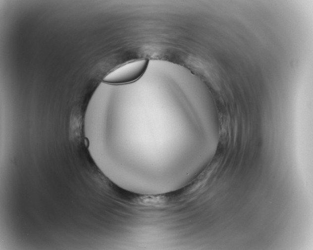 X0000088730526200706212041