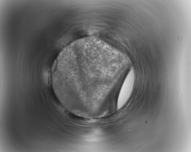 X0000088730527200706212041