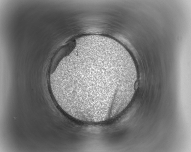 X0000088730529200706212040