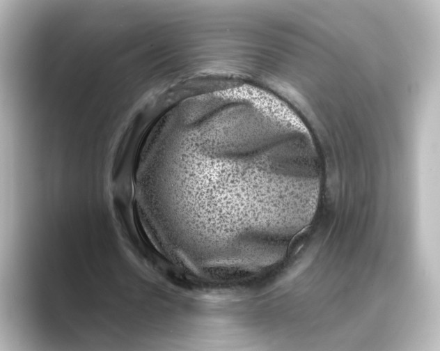 X0000088730530200706212040