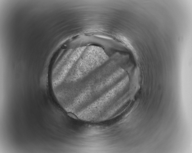 X0000088730531200706212040