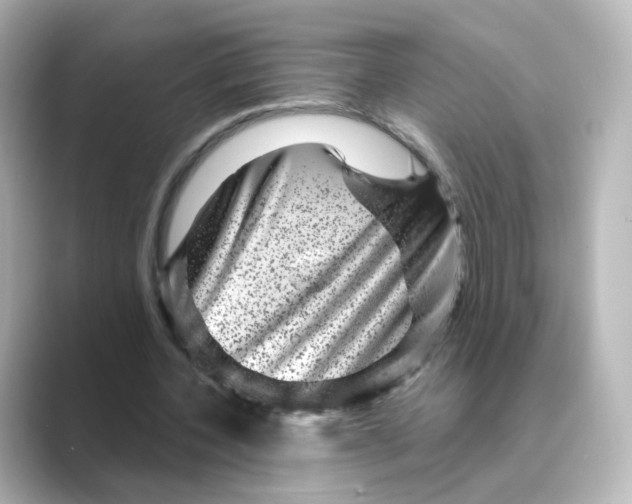 X0000088730532200706212040