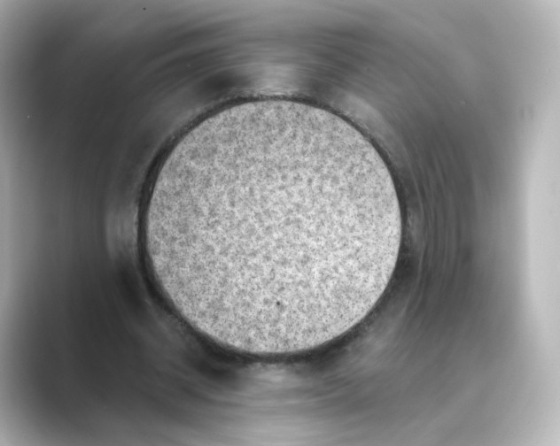 X0000088730534200706212040