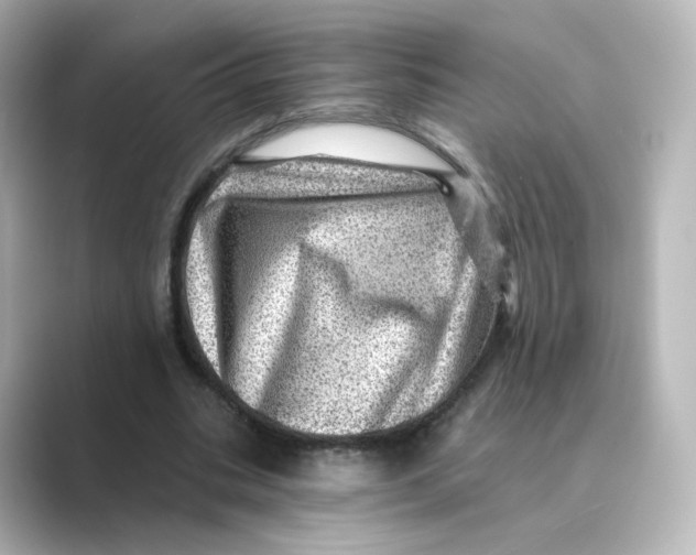 X0000088730535200706212040