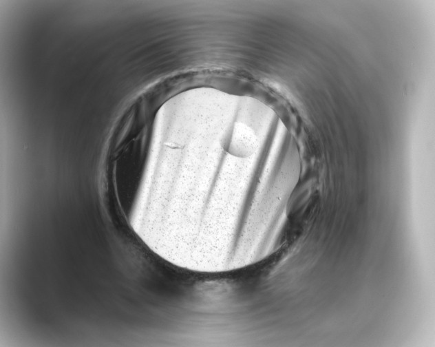 X0000088730536200706212040