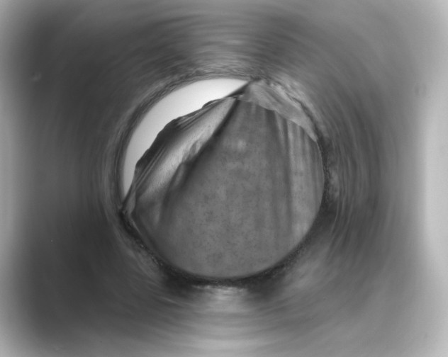 X0000088730539200706212041