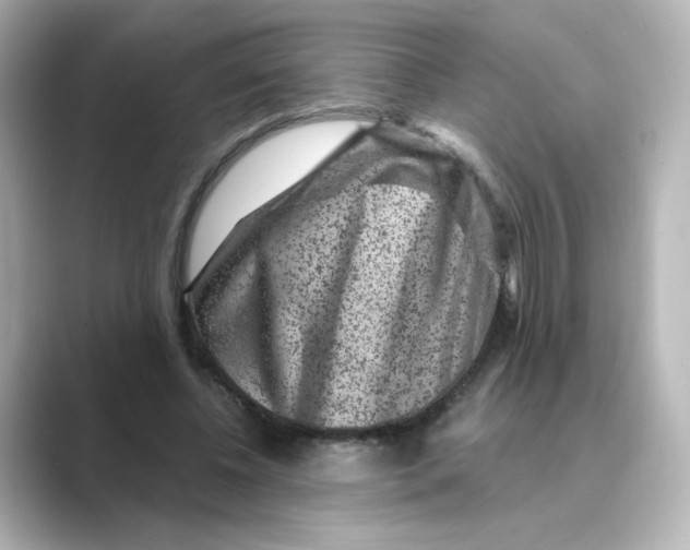 X0000088730540200706212041