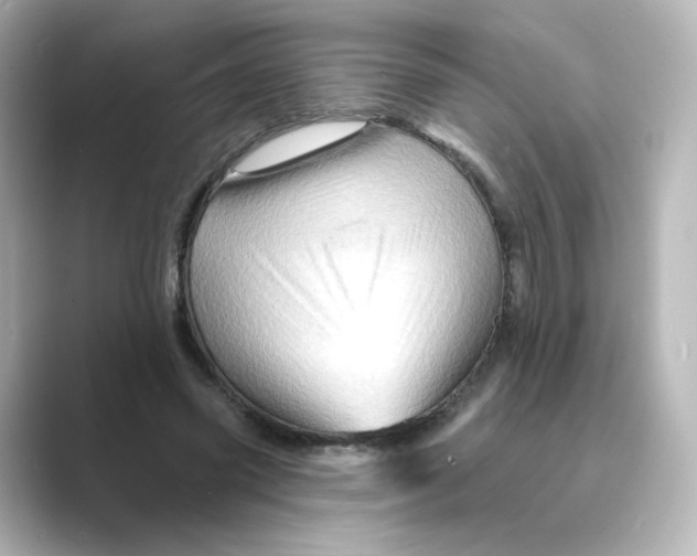 X0000088730541200706212041