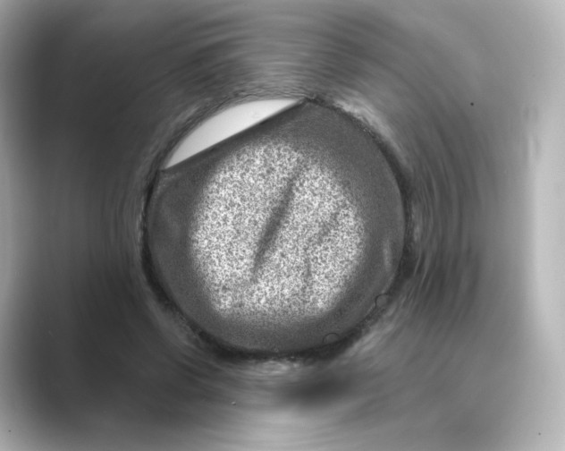 X0000088730542200706212041