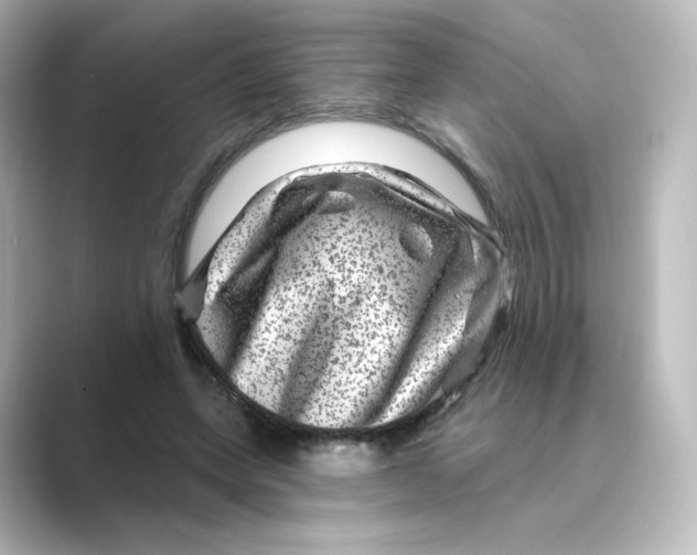 X0000088730543200706212041