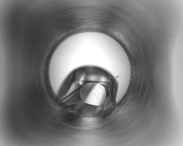 X0000088730544200706212041