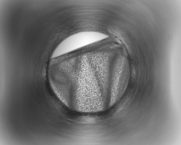 X0000088730545200706212041