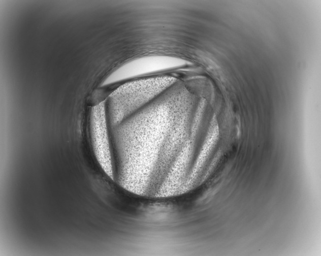 X0000088730546200706212041