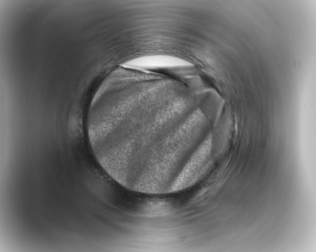 X0000088730547200706212041