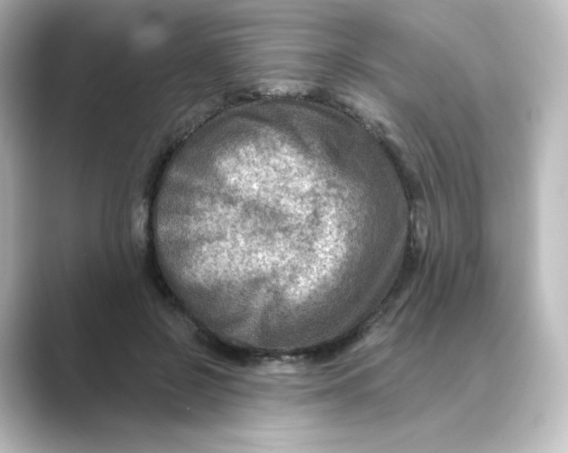 X0000088730550200706212041