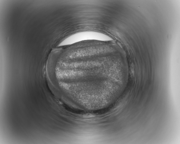 X0000088730551200706212041