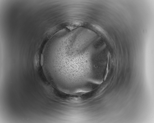 X0000088730552200706212041