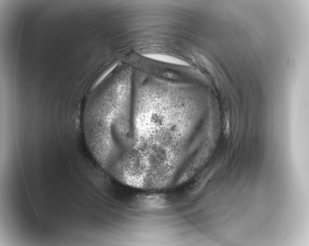 X0000088730553200706212041