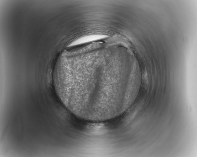 X0000088730554200706212041