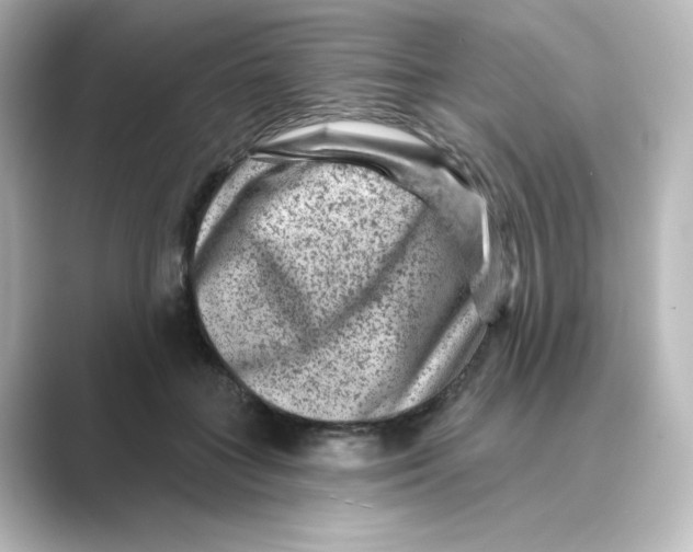 X0000088730555200706212041