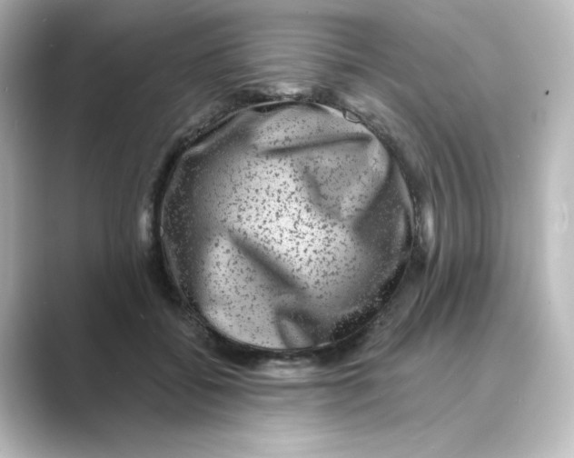 X0000088730556200706212041