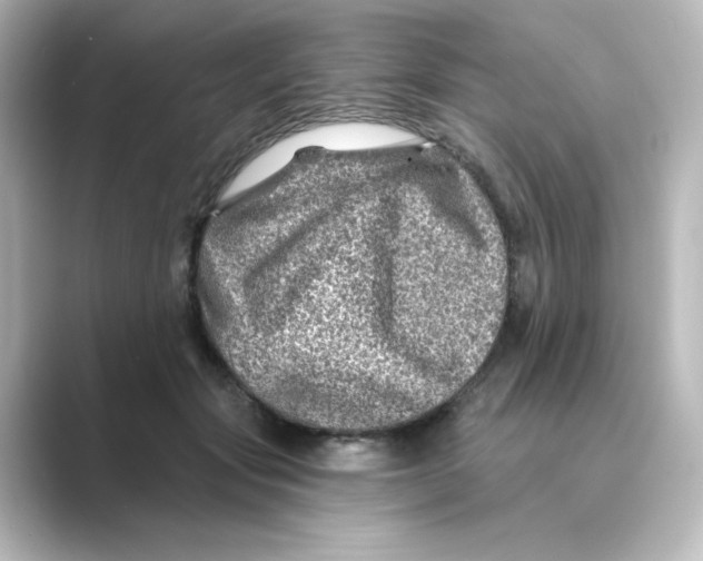 X0000088730557200706212041