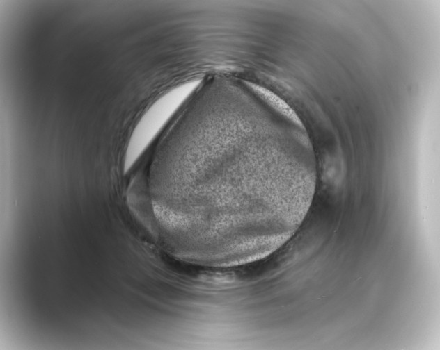 X0000088730559200706212041