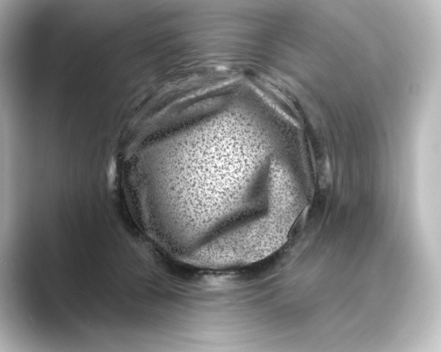 X0000088730560200706212041