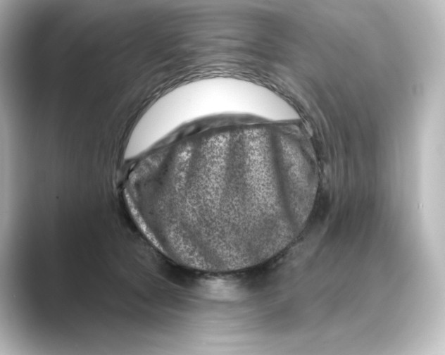 X0000088730561200706212041