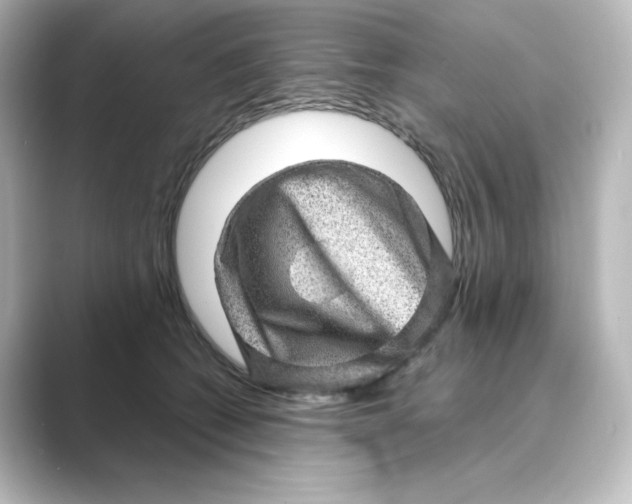 X0000088730562200706212041