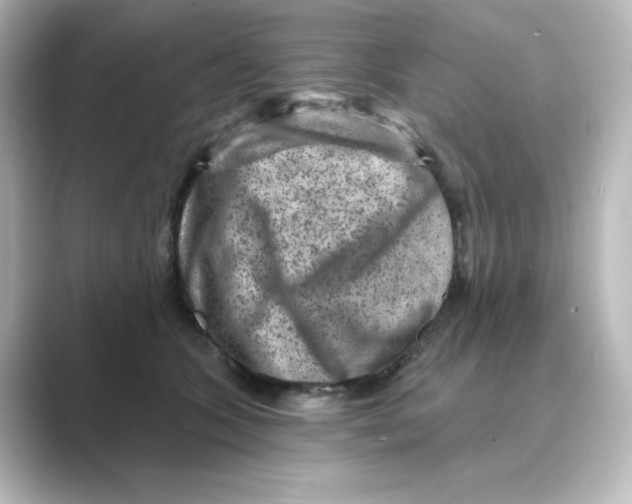 X0000088730563200706212041