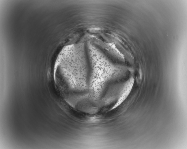 X0000088730564200706212041