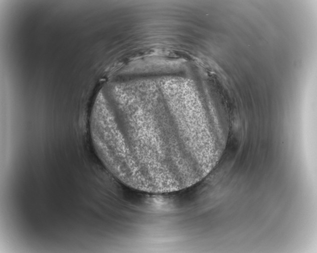 X0000088730565200706212041