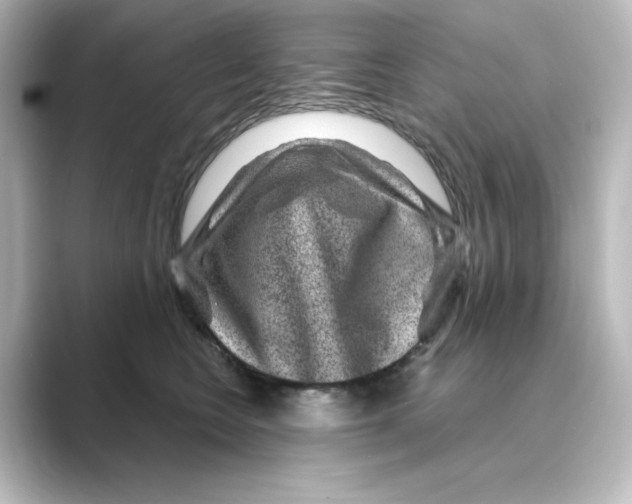 X0000088730566200706212041