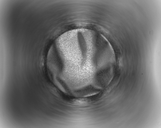 X0000088730567200706212041