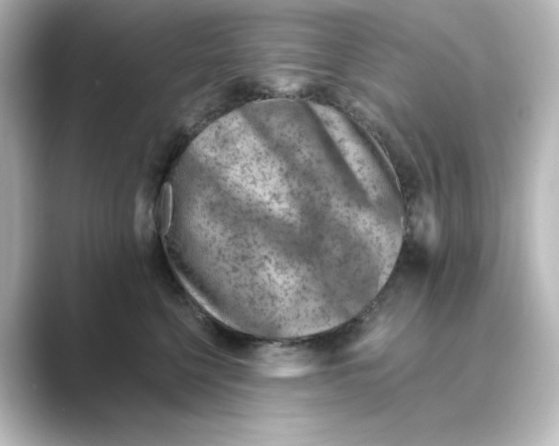 X0000088730568200706212041