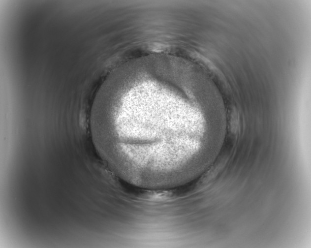 X0000088730569200706212041