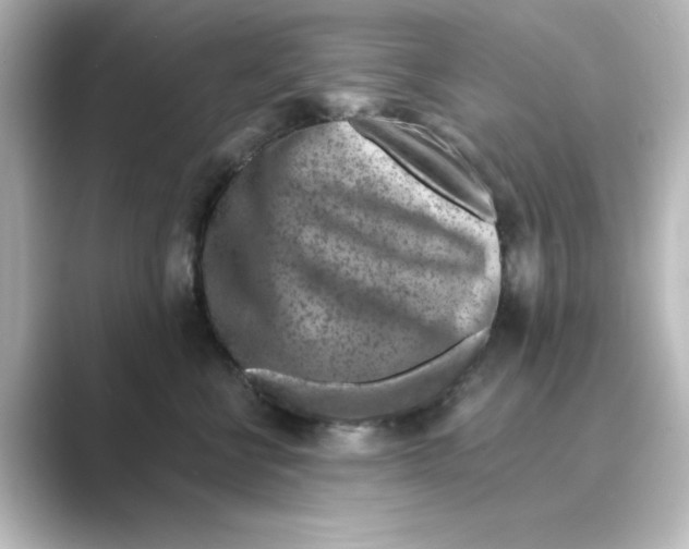 X0000088730570200706212041