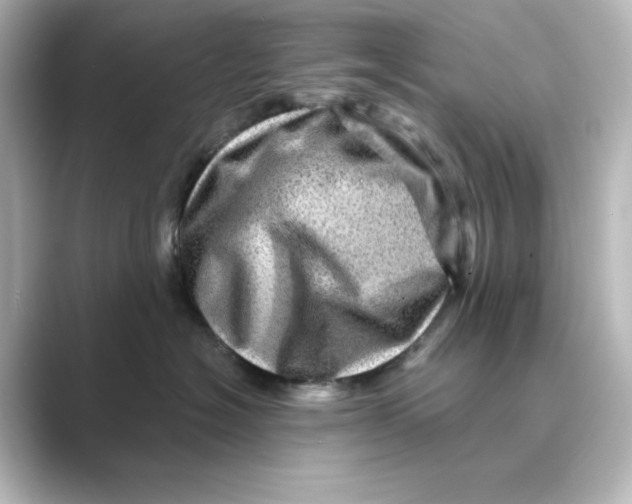 X0000088730574200706212041