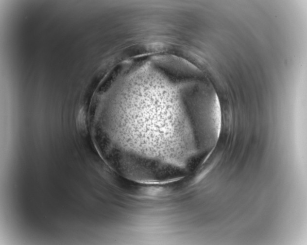 X0000088730575200706212041