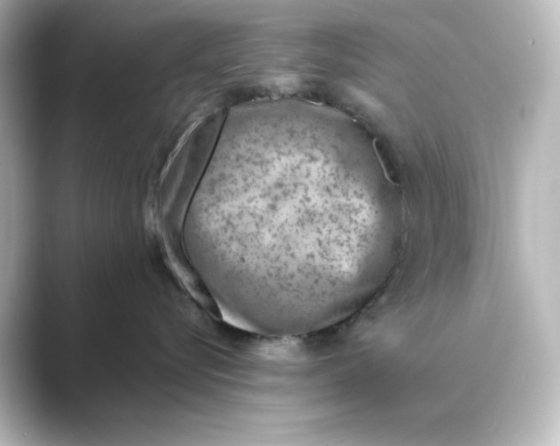 X0000088730576200706212041