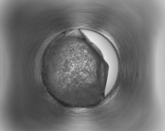 X0000088730577200706212040