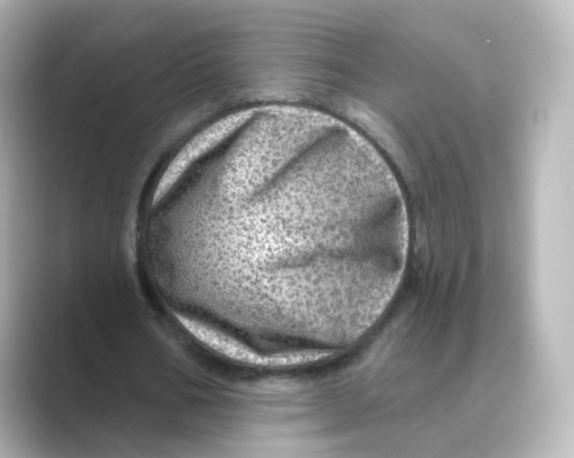 X0000088730578200706212040