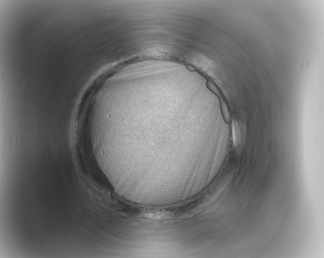 X0000088730579200706212040