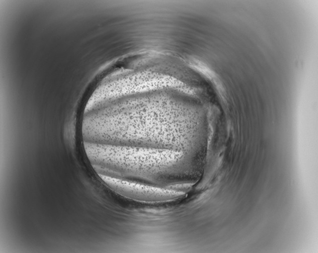 X0000088730580200706212040