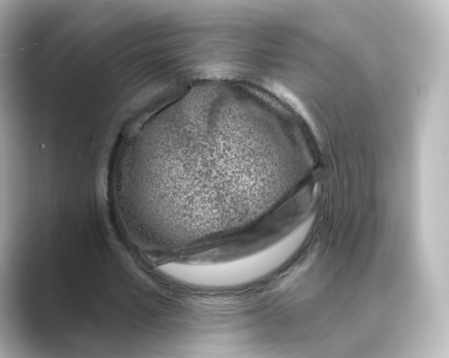 X0000088730581200706212040